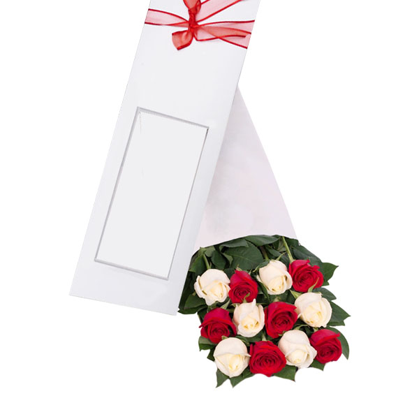Cajas de 12 Rosas Blancas y rojas 